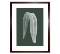 Artery8 Wall Art Print Botanics Hunter Folded Leaf Art Black Framed 9x7 inch in Brown | Size: W7" x H9" Artery8 Brown W7" x H9"