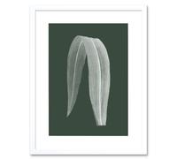 Artery8 Wall Art Print Botanics Hunter Folded Leaf Art Black Framed 9x7 inch in White | Size: W7" x H9" Artery8 White W7" x H9"