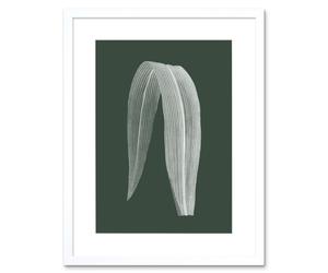 Artery8 Wall Art Print Botanics Hunter Folded Leaf Art Black Framed 9x7 inch in White | Size: W7" x H9" Artery8 White W7" x H9"