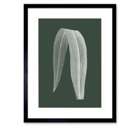 Artery8 Wall Art Print Botanics Hunter Folded Leaf Art Black Framed 9x7 inch | Size: W7" x H9" Artery8 Black W7" x H9"