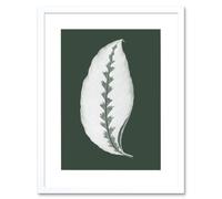 Artery8 Wall Art Print Botanics Hunter Green Jungle Leaf Art Black Framed 9x7 inch in White | Size: W7" x H9" Artery8 White W7" x H9"
