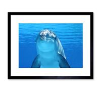 Artery8 Wall Art Print Bottlenose Dolphin Smiling Framed 9X7 Inch