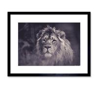 Artery8 Wall Art Print Bredesen Male African Lion Framed 9X7 Inch