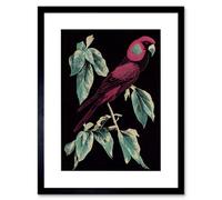 Artery8 Wall Art Print Burgundy Parakeet Retro Modern Vintage Tropical Jungle Artwork Framed 9X7 Inch