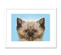 Artery8 Wall Art Print Cat Persian Kitten Blue Art Framed 9x7 inch in White | Size: W7" x H9" Artery8 White W7" x H9"
