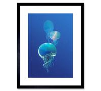 Artery8 Wall Art Print Celestial Galaxy Stars Jellyfish Photograph Combined Blue Framed Art in Black | Size: W7" x H9" Artery8 Black W7" x H9"