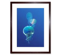 Artery8 Wall Art Print Celestial Galaxy Stars Jellyfish Photograph Combined Blue Framed Art in Brown | Size: W7" x H9" Artery8 Brown W7" x H9"