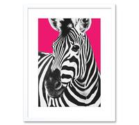 Artery8 Wall Art Print Close up Beasties Zebra Art Framed 9x7 inch in White | Size: W7" x H9" Artery8 White W7" x H9"