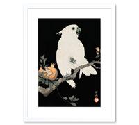 Artery8 Wall Art Print Cockatoo Pomegranate Ohara Koson Art Framed 9x7 inch in White | Size: W7" x H9" Artery8 White W7" x H9"