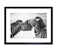 Artery8 Wall Art Print Cute Zebra Couple Framed 9X7 Inch