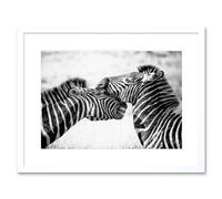 Artery8 Wall Art Print Cute Zebra Couple Framed in White | Size: W7" x H9" Artery8 White W7" x H9"