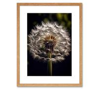 Artery8 Wall Art Print Dandelion Flower Pappus Macro Photograph Dark Close Up Detail Artwork Framed 9X7 Inch in Beige | Size: W7" x H9" Artery8 Beige W7" x H9"