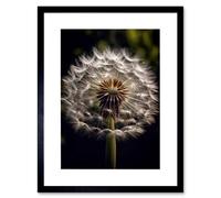 Artery8 Wall Art Print Dandelion Flower Pappus Macro Photograph Dark Close Up Detail Artwork Framed 9X7 Inch
