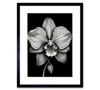 Artery8 Wall Art Print Detailed Orchid Flower Petals in Black & White Artwork Framed 9X7 Inch | Size: W7" x H9" Artery8 Black W7" x H9"