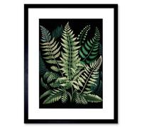 Artery8 Wall Art Print Different Fern Fronds Detailed Leaves Artwork Framed 9X7 Inch