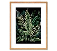 Artery8 Wall Art Print Different Fern Fronds Detailed Leaves Artwork Framed 9X7 Inch in Beige | Size: W7" x H9" Artery8 Beige W7" x H9"
