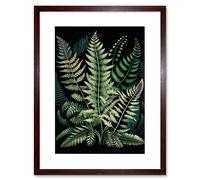 Artery8 Wall Art Print Different Fern Fronds Detailed Leaves Artwork Framed 9X7 Inch in Brown | Size: W7" x H9" Artery8 Brown W7" x H9"