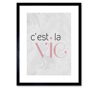 Artery8 Wall Art Print Dusty Rose Cest La Vie Framed 9X7 Inch