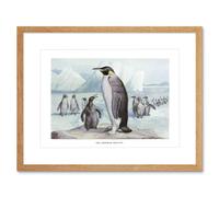 Artery8 Wall Art Print Emperor Penguins Vintage Art Framed 9x7 inch in Beige | Size: W7" x H9" Artery8 Beige W7" x H9"