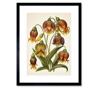 Artery8 Ernst Haeckel Inspired Fritillaria Flower Plant Study Modern Watercolour Painting Illustration Artwork Framed Wall Art Print 9X7 Inch