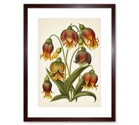 Artery8 Wall Art Print Ernst Haeckel Inspired Fritillaria Flower Plant Study Modern Watercolour Painting Artwork Framed 9X7 Inch | Size: W7" x H9" Artery8 Brown W7" x H9"