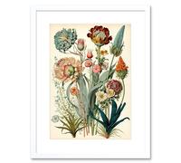 Artery8 Wall Art Print Ernst Haeckel Inspired Vintage Botanical Plant Study Modern Watercolour Painting Artwork Framed 9X7 Inch | Size: W7" x H9" Artery8 White W7" x H9"