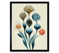 Artery8 Wall Art Print Ernst Haeckel Style Alien Flowers Detailed s Art Framed in Black | Size: W12" x H16" Artery8 Black W12" x H16"