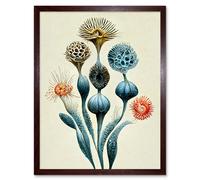 Artery8 Wall Art Print Ernst Haeckel Style Alien Flowers Detailed s Art Framed in Brown | Size: W12" x H16" Artery8 Brown W12" x H16"
