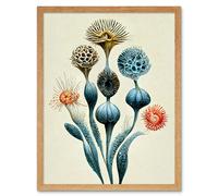 Artery8 Wall Art Print Ernst Haeckel Style Alien Flowers Detailed s Art Framed in Light Oak | Size: W12" x H16" Artery8 Light Oak W12" x H16"