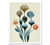 Artery8 Wall Art Print Ernst Haeckel Style Alien Flowers Detailed s Art Framed in White | Size: W12" x H16" Artery8 White W12" x H16"
