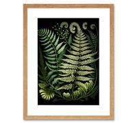 Artery8 Wall Art Print Ernst Haeckel Style Fern Fronds Artwork Framed 9X7 Inch in Beige | Size: W7" x H9" Artery8 Beige W7" x H9"