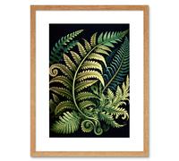 Artery8 Wall Art Print Ernst Haeckel Style Fern Fronds Leaf Artwork Framed 9X7 Inch in Beige | Size: W7" x H9" Artery8 Beige W7" x H9"