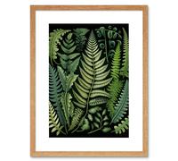 Artery8 Wall Art Print Ernst Haeckel Style Fern Fronds Leaf Artwork Framed 9X7 Inch in Beige | Size: W7" x H9" Artery8 Beige W7" x H9"