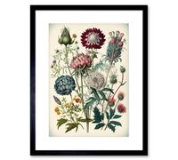 Artery8 Wall Art Print Ernst Haeckel Style Vintage Botanical Plant Study Modern Watercolour Painting Artwork Framed 9X7 Inch