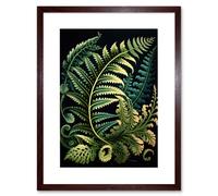 Artery8 Wall Art Print Fern Fronds Ernst Haeckel Style Leaf Artwork Framed 9X7 Inch in Brown | Size: W7" x H9" Artery8 Brown W7" x H9"