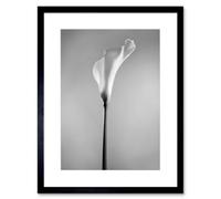 Artery8 Wall Art Print Flower Black And White Calla Lily Art Framed 9X7 Inch