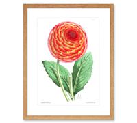 Artery8 Wall Art Print Flower Red Orange Dahlia Art Framed 9x7 inch in Beige | Size: W7" x H9" Artery8 Beige W7" x H9"