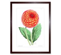 Artery8 Wall Art Print Flower Red Orange Dahlia Artwork Framed 9X7 Inch in Brown | Size: W7" x H9" Artery8 Brown W7" x H9"