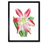 Artery8 Wall Art Print Flower Spotted Pink Lily Art Framed 9x7 inch in Black | Size: W7" x H9" Artery8 Black W7" x H9"