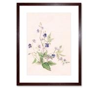 Artery8 Wall Art Print Flower Veronica Watercolour Art Framed 9x7 inch in Brown | Size: W7" x H9" Artery8 Brown W7" x H9"