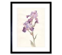 Artery8 Wall Art Print Flower Violet Iris Watercolour Art Framed 9x7 inch in Black | Size: W7" x H9" Artery8 Black W7" x H9"
