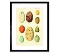Artery8 Wall Art Print French Eggs Vintage Art Framed 9X7 Inch