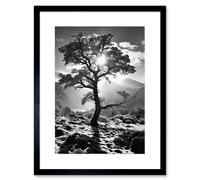 Artery8 Wall Art Print Frozen Tree Outline in Mountain Forest Landscape Covered in Snow Black & White Photograph Winter Sunshine Artwork Framed 9X7 Artery8 Black W7" x H9"