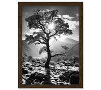 Artery8 Wall Art Print Frozen Tree Outline in Mountain Forest Landscape Covered in Snow Black & White Photograph Winter Sunshine Artwork Framed A4 Artery8 Brown A4