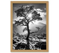Artery8 Wall Art Print Frozen Tree Outline in Mountain Forest Landscape Covered in Snow Black & White Photograph Winter Sunshine Artwork Framed A4 Artery8 Light Oak A4