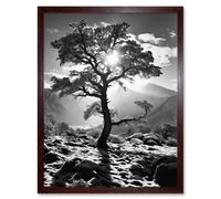 Artery8 Wall Art Print Frozen Tree Outline in Mountain Forest Landscape Covered in Snow Black & White Photograph Winter Sunshine Art Framed Artery8 Brown W12" x H16"