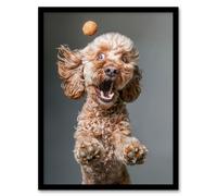 Artery8 Wall Art Print Funny Cockapoo Dog Lover Treat Catch Photo Art Framed Poster in Black | Size: A4 Artery8 Black A4