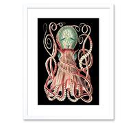 Artery8 Wall Art Print Granulated Cuttle Octopus Black Art Framed 9x7 inch in White | Size: W7" x H9" Artery8 White W7" x H9"