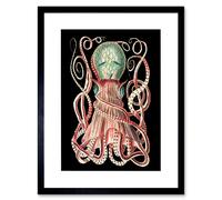 Artery8 Wall Art Print Granulated Cuttle Octopus Black Art Framed 9x7 inch | Size: W7" x H9" Artery8 Black W7" x H9"