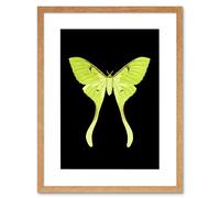 Artery8 Wall Art Print Green Luna Moth Art Framed 9x7 inch in Beige | Size: W7" x H9" Artery8 Beige W7" x H9"